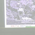 Imagen Silvoquímica, alternativa para detener la deforestación