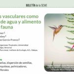 Imagen Artículo publicado por Thorsten Krömer en Boletín de la Sociedad Científica Mexicana de Ecología