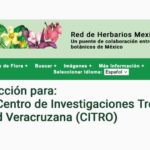 Imagen El Herbario del CITRO se une a la Red de Herbarios Mexicanos