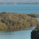 Imagen Alumno UV analiza relación entre comunidades y humedales