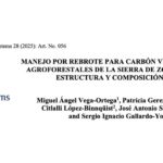 Imagen Las Dras. Patricia Gerez Fernández y Citlalli López Binnqüist, investigadoras del Centro de Investigaciones Tropicales, en coautoría con otros investigadores publicaron el artículo «Manejo por rebrote para carbón vegetal en parcelas agroforestales de la Sierra de Zongolica, México: Estructura y composición arbórea» en la revista Tropical and Subtropical Agroecosystems.