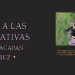 Imagen Publicación de la guía Conoce a las abejas nativas del Totonacapan veracruzano