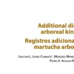 Imagen Egresados, estudiante y académica de CITRO publican nota científica sobre la dieta de la Martucha, un mamífero arbóreo que habita las selvas de Veracruz