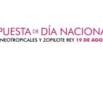 Imagen Propuesta para declarar el 19 de agosto como el Día Nacional de las Águilas Neotropicales y el Zopilote Rey.