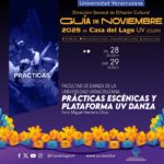 Imagen Prácticas escénica y Plataforma UV Danza