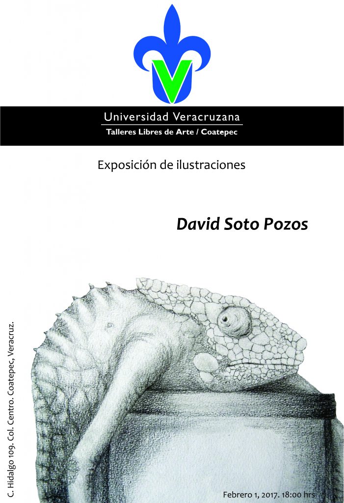 cartel-expo-david-01