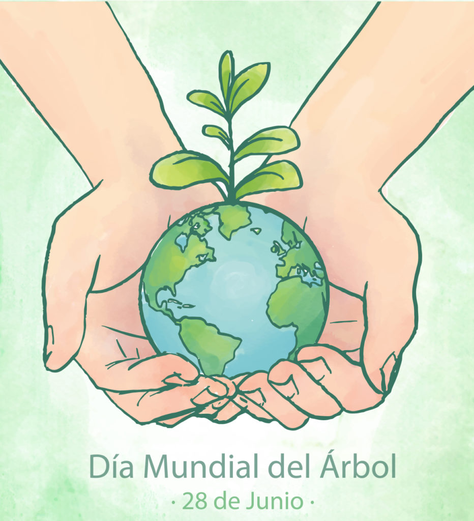 Domingo 28: Día mundial del Árbol – Coordinación Regional para la  Sustentabilidad