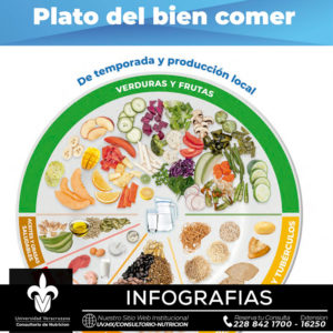 Imagen Plato del bien comer