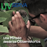 Imagen Presentación de la Revista Electrónica UVserva