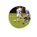 Imagen HALCONES-UV ANTE ITESM-QUERETARO,