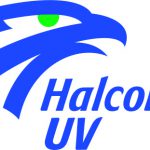 Imagen CURP Para personas repatriadas