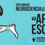 Imagen DIPLOMADO: NEUROCIENCIA DEL BIENESTAR Y ARTES ESCÉNICAS – 2° edición