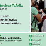 Imagen Invitación al Examen de Grado de José Leonardo Sánchez Tafolla