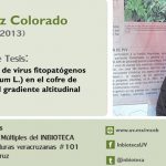 Imagen Invitación al Examen de Grado de Nora Isela Ruiz Colorado