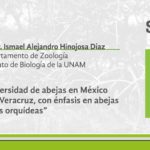 Imagen Seminario ‘’Diversidad de abejas en México y en Veracruz, con énfasis en abejas de las orquídeas‘’