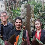 Imagen Ofrece Ensamble Galante recital barroco en Domingos de Museo