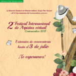 Imagen Invitan a arpistas a formar parte del 2° Festival Internacional de Arpistas edición virtual