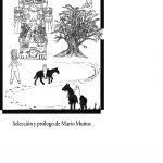 Imagen Una docena de relatos clásicos