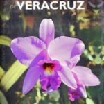 Imagen Las orquídeas de Veracruz