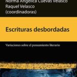 Imagen Un torrente de escrituras desbordadas