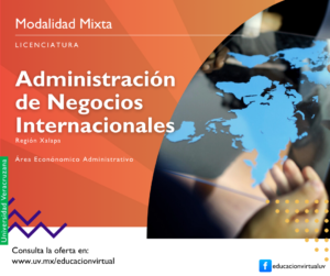 Administración de Negocios Internacionales mixta