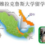 Imagen Flyer EEE – China