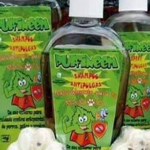 Imagen Egresadas crearon antipulgas ecológico