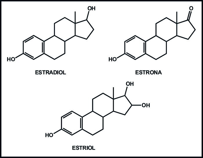 Inervación de papilas