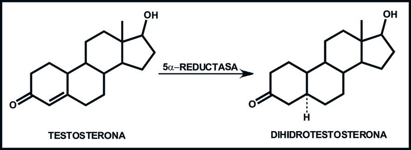 5-α-reductasa