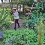 Imagen Más allá del huerto universitario: un área verde insertada en una realidad sociocultural.