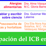 Imagen ICB