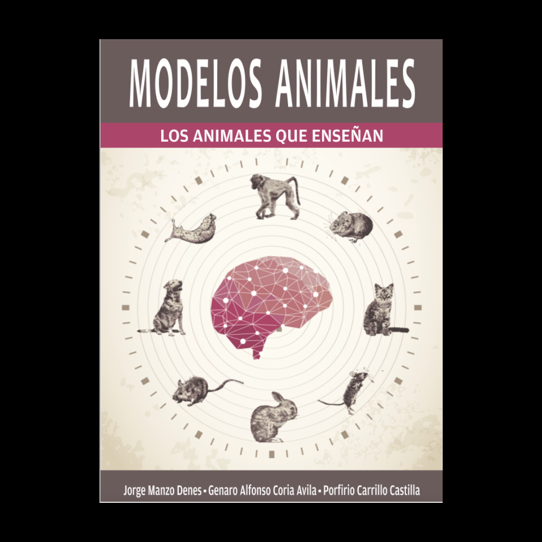 Imagen Modelos animales. Los animales que enseñan