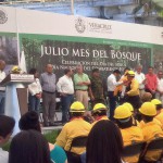 Imagen Mes del Bosque