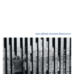 Imagen La violencia regional en México