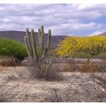 Imagen Académica realizó estancia de investigación en la University of North Texas