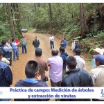 Imagen Proyecto Medición del crecimiento arbóreo en diferentes tipos de bosque