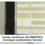 Imagen Cuerpos académicos investigan problemática forestal