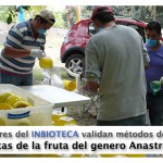 Imagen Investigadores del INBIOTECA validan métodos de control de mosca de la fruta del genero Anastrepha