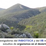 Imagen Investigadores del INBIOTECA y del IIB realizan  estudios de organismos en el desierto