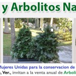Imagen Venta de coronas y arbolitos Navideños 2015