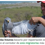 Imagen El Dr. Ernesto Ruelas Inzunza becario por repatriación en INBIOTECA, realiza  investigación en el corredor de aves migratorias más grande del mundo