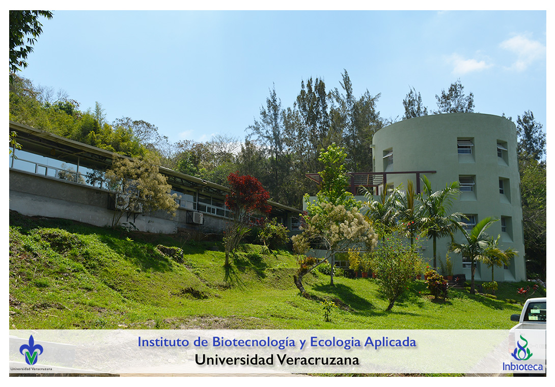 Historia - Instituto de Biotecnología y Ecología Aplicada