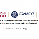 Imagen Apoyo a Madres mexicanas Jefas de Familia para Fortalecer su Desarrollo Profesional 2020