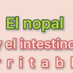 Imagen Nota: El nopal y el intestino irritable