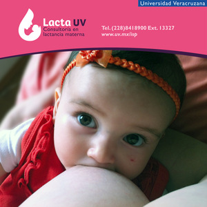 imagen mito de la lactancia materna