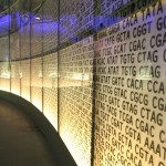 Imagen Xenotexto: un poema en una secuencia de ADN incrustado en el genoma de una bacteria