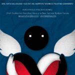 Imagen Talleres de formación líderes por la Paz