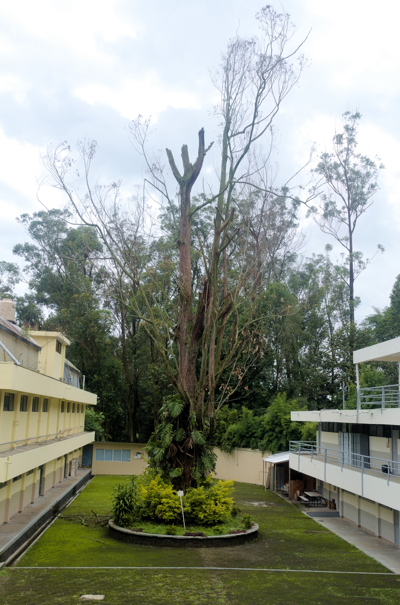 Facultad de Matemáticas. Aniversario 60