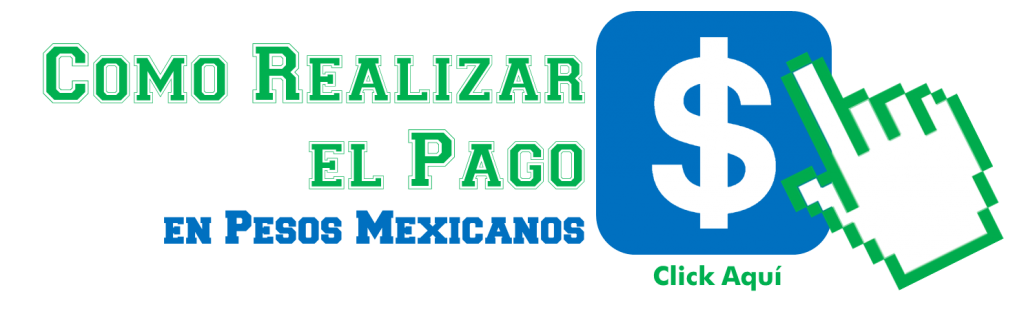 realizarpago