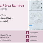 Imagen Invitación al Examen de Grado de Guadalupe Estefania Pérez Ramírez